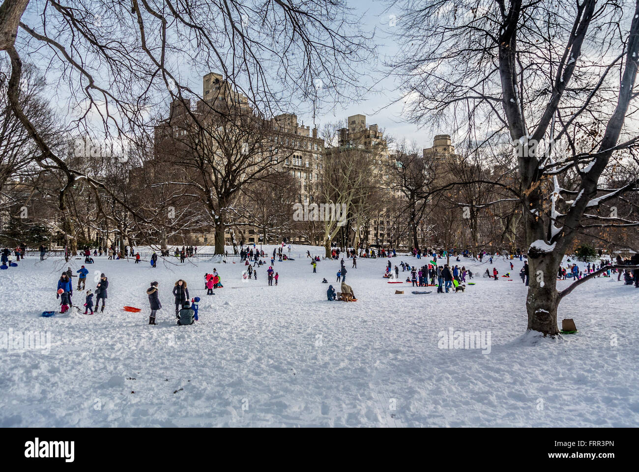 In slittino Central Park in inverno, New York City, Stati Uniti d'America. Foto Stock