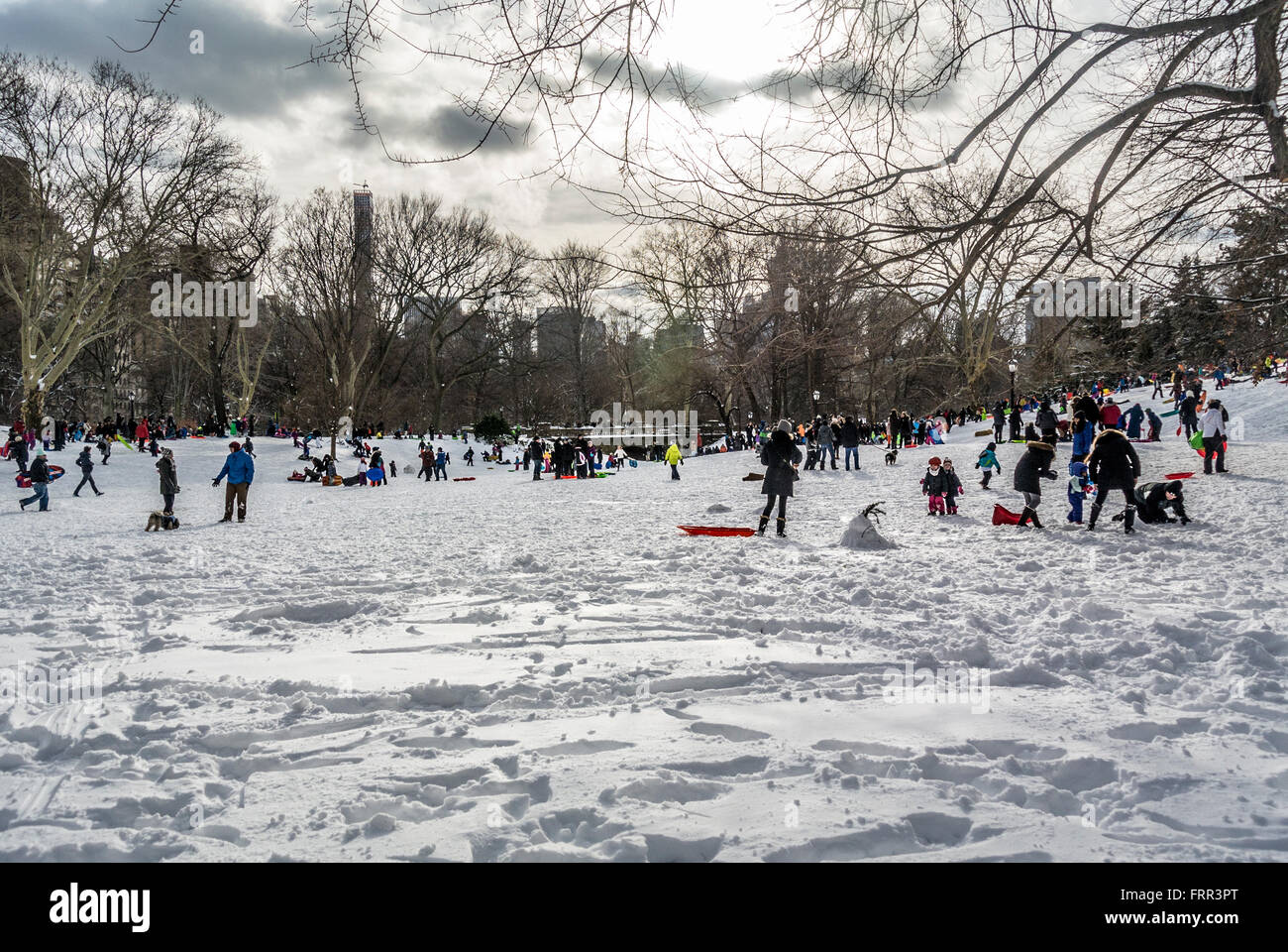 In slittino Central Park in inverno, New York City, Stati Uniti d'America. Foto Stock