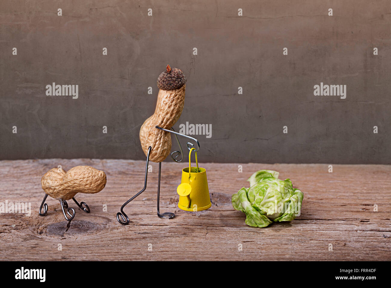 Miniaturizzato con uomo di arachidi giardino facendo lavorare con il suo cane Foto Stock