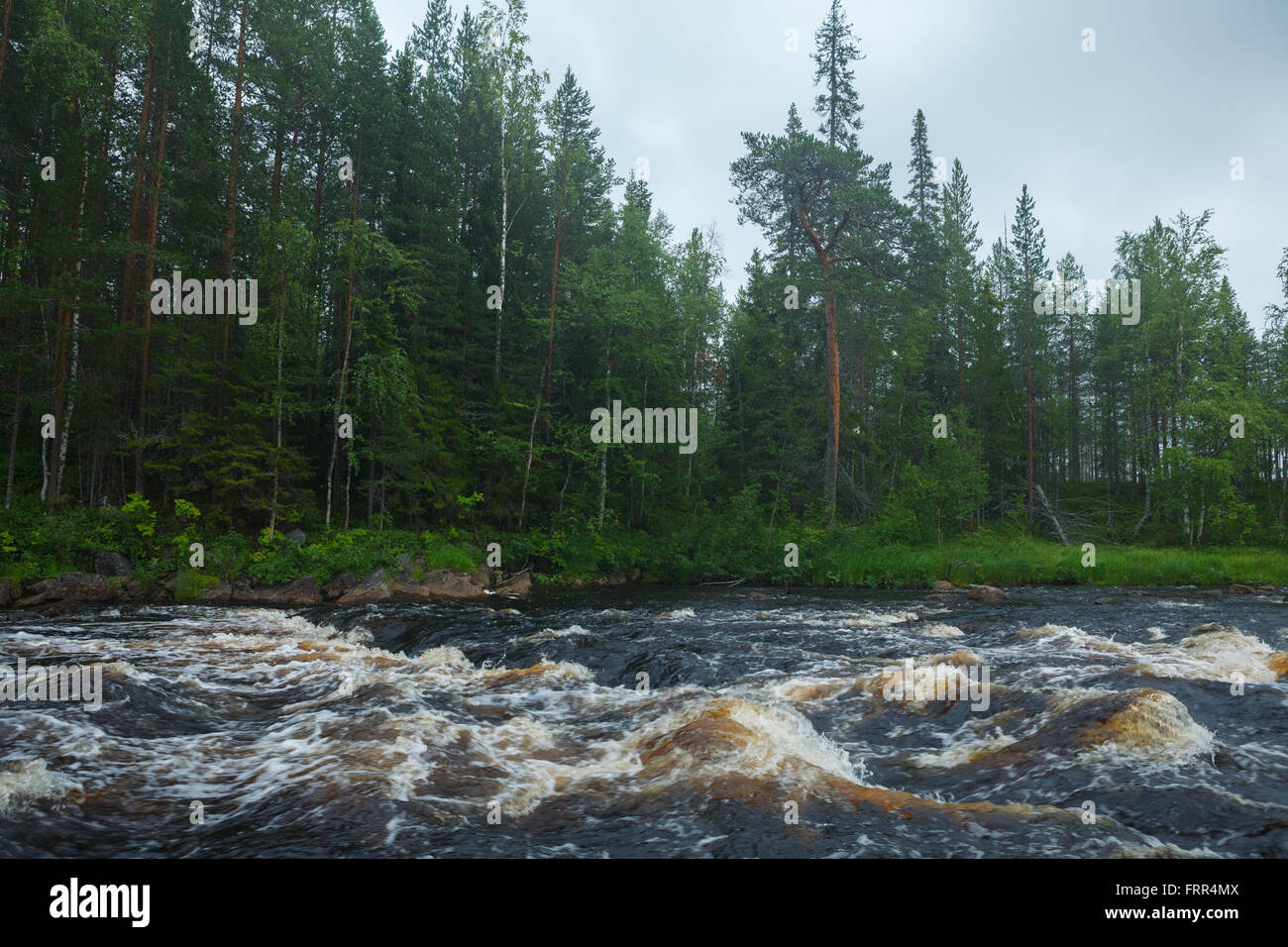 Paesaggio Karelian Foto Stock