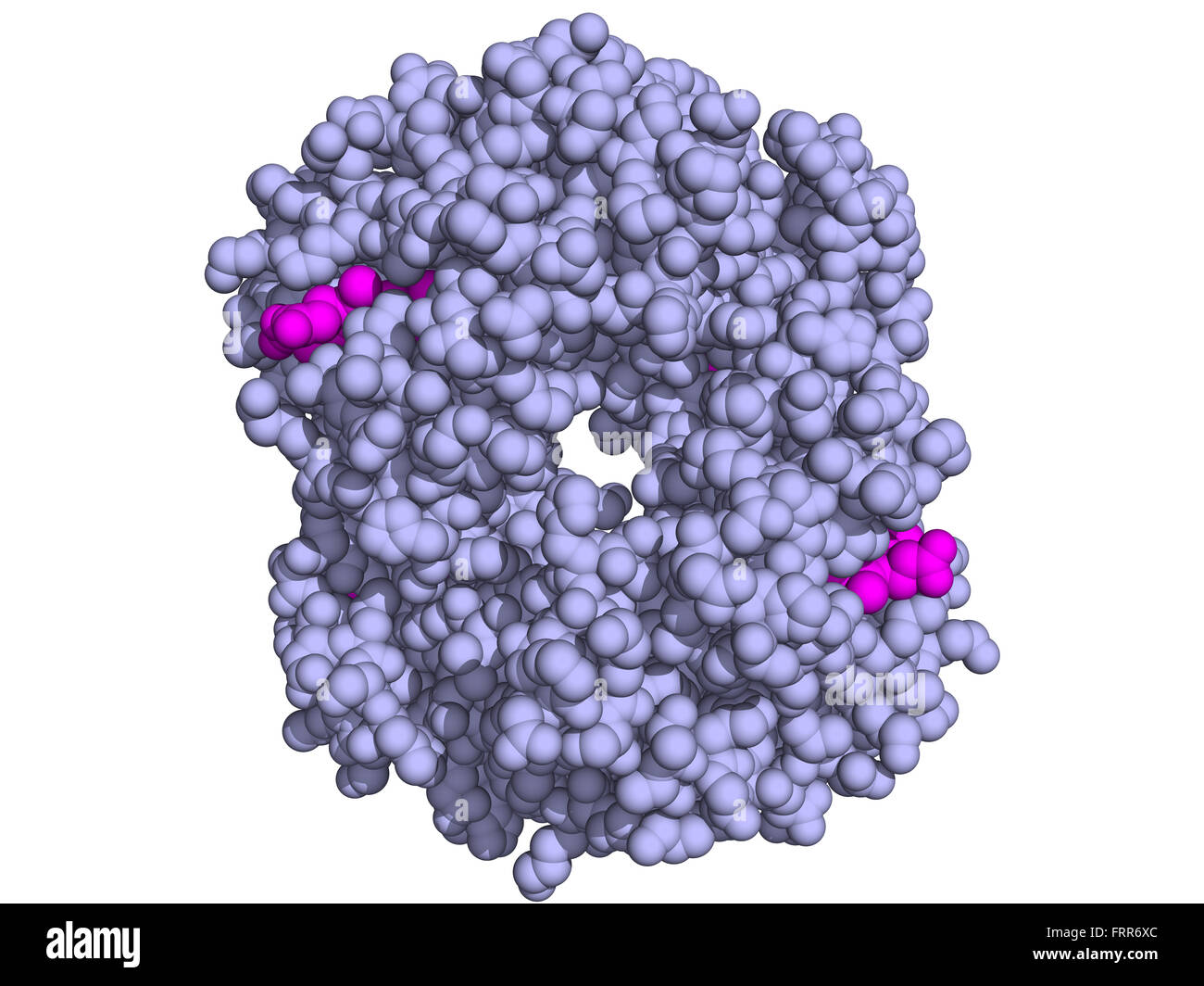 Struttura chimica di emoglobina umana (Hb) molecola di proteina. Ferro-ossigeno contenente proteina di trasporto che si trova nelle cellule rosse del sangue. Foto Stock