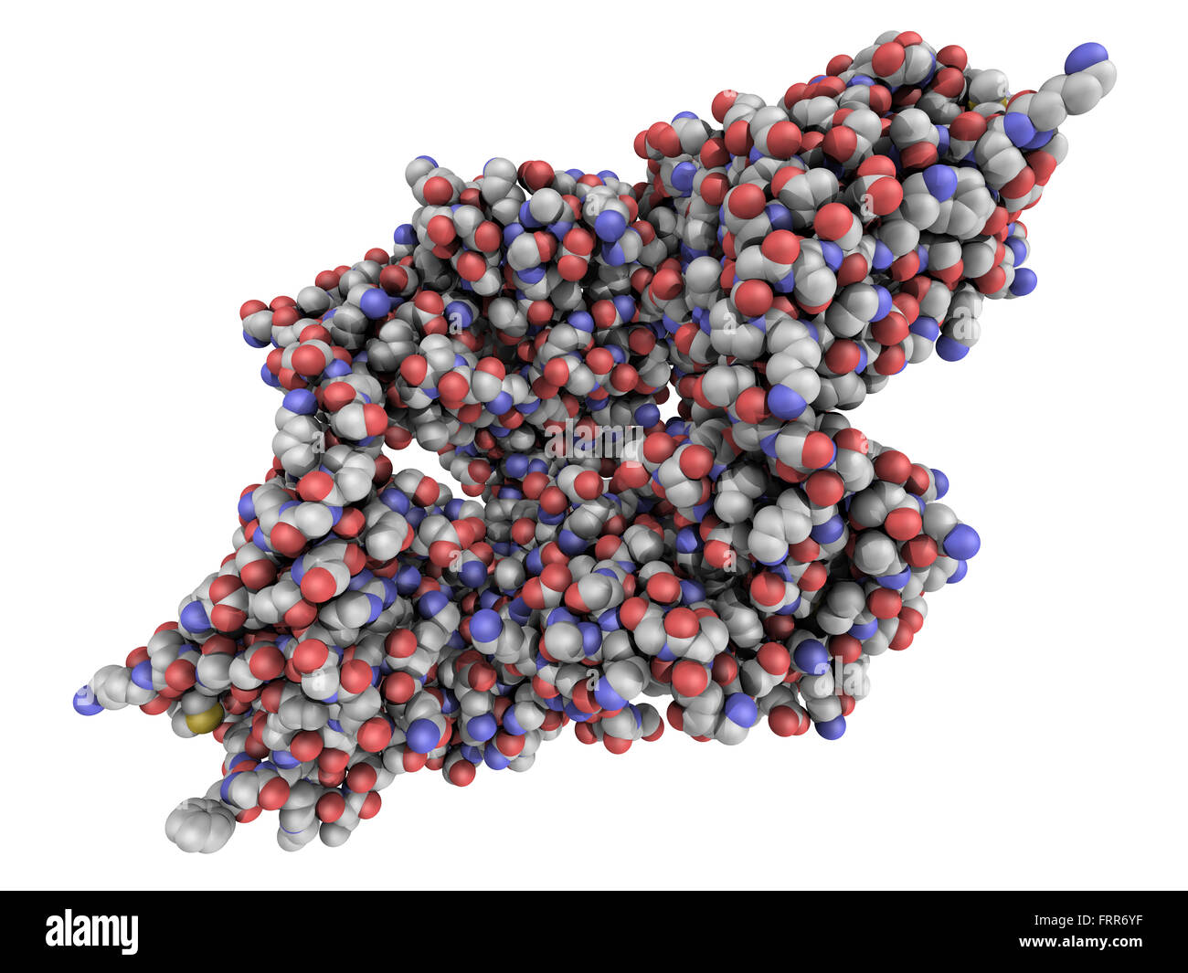 Anticorpo monoclonale (immunoglobulina molecola), struttura chimica. La maggior parte delle attuali farmaci biotech sono anticorpi monoclonali. Foto Stock
