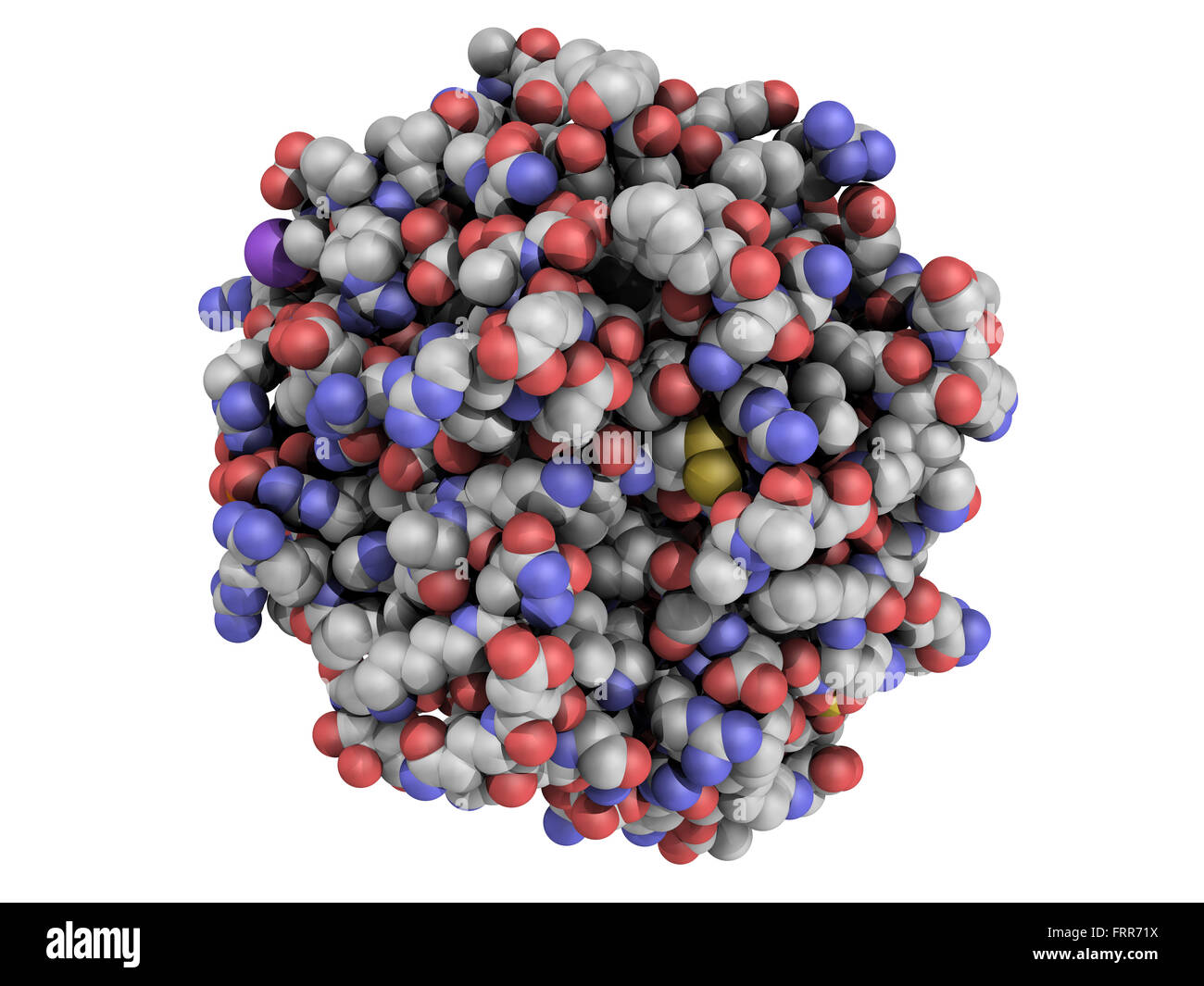 Struttura del sangue di trombina-enzima di coagulazione umano alfa-trombina molecola è una proteina chiave alla cascata di coagulazione del sangue. Co Foto Stock