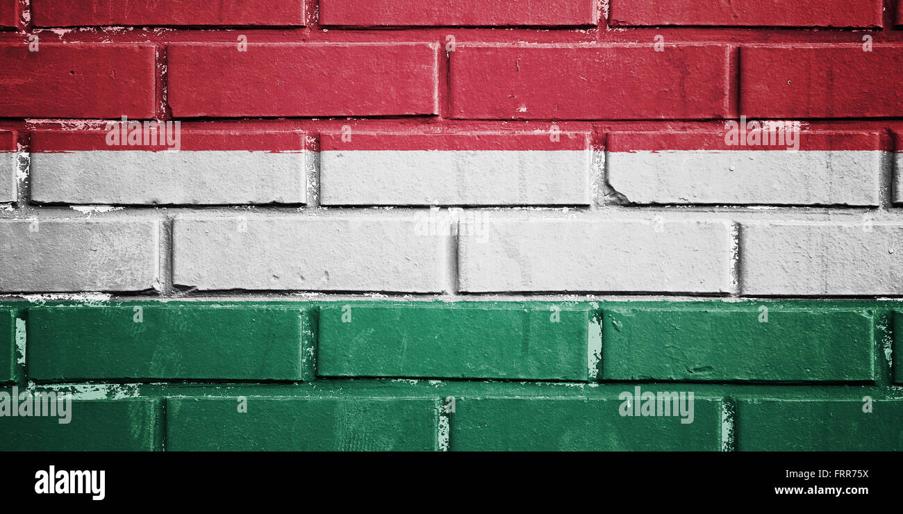 Ungheria bandiera sulla tessitura muro di mattoni Foto Stock