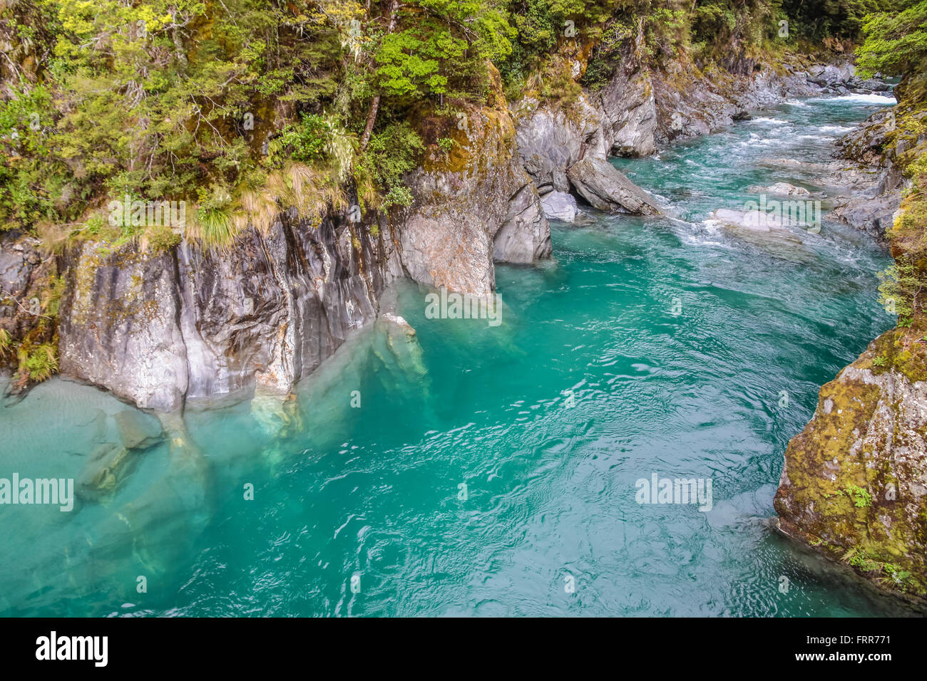 Piscine blu vicino Haast Pass, Westland-Nationalpark, Isola del Sud, Nuova Zelanda Foto Stock