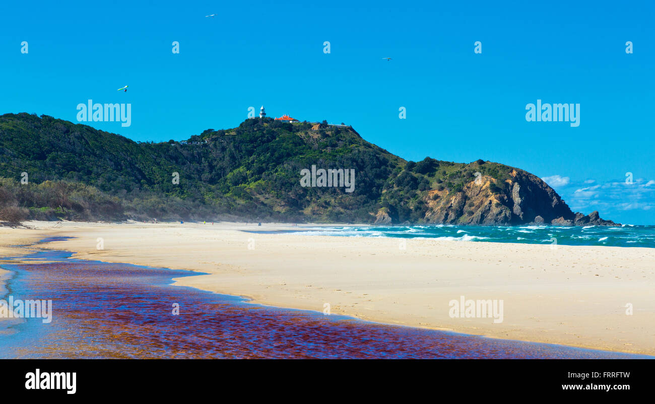 Deltaplani oltre tallow beach, Cape Byron, Byron Bay, Australia Foto Stock