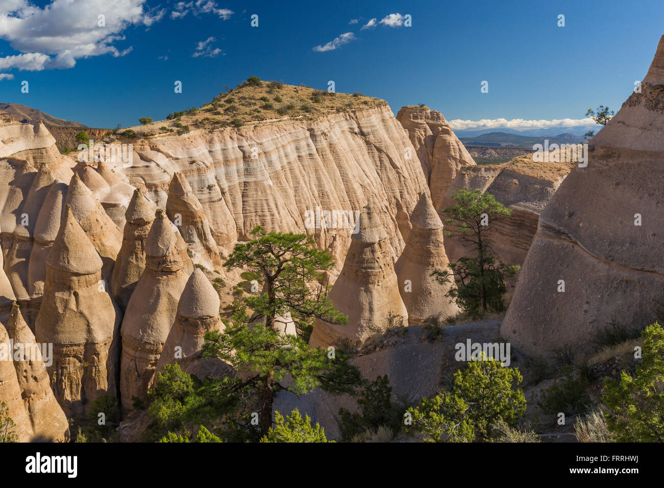 Tenda a forma di visti hoodoos dallo Slot Canyon Trail a tenda Kasha-Katuwe rocce monumento nazionale nel Nuovo Messico, STATI UNITI D'AMERICA Foto Stock