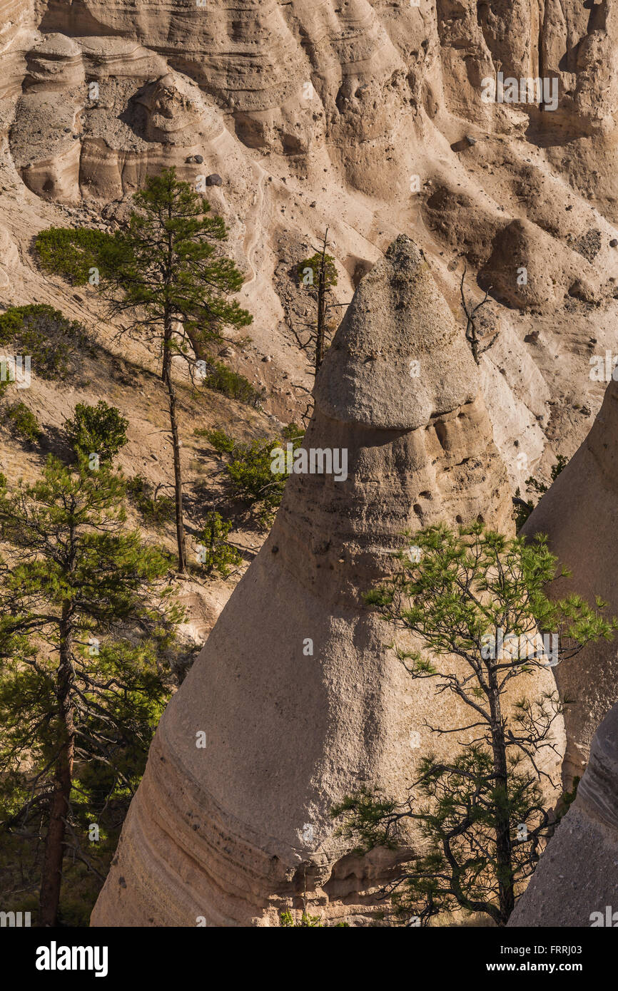 Tenda a forma di visti hoodoos dallo Slot Canyon Trail a tenda Kasha-Katuwe rocce monumento nazionale nel Nuovo Messico, STATI UNITI D'AMERICA Foto Stock