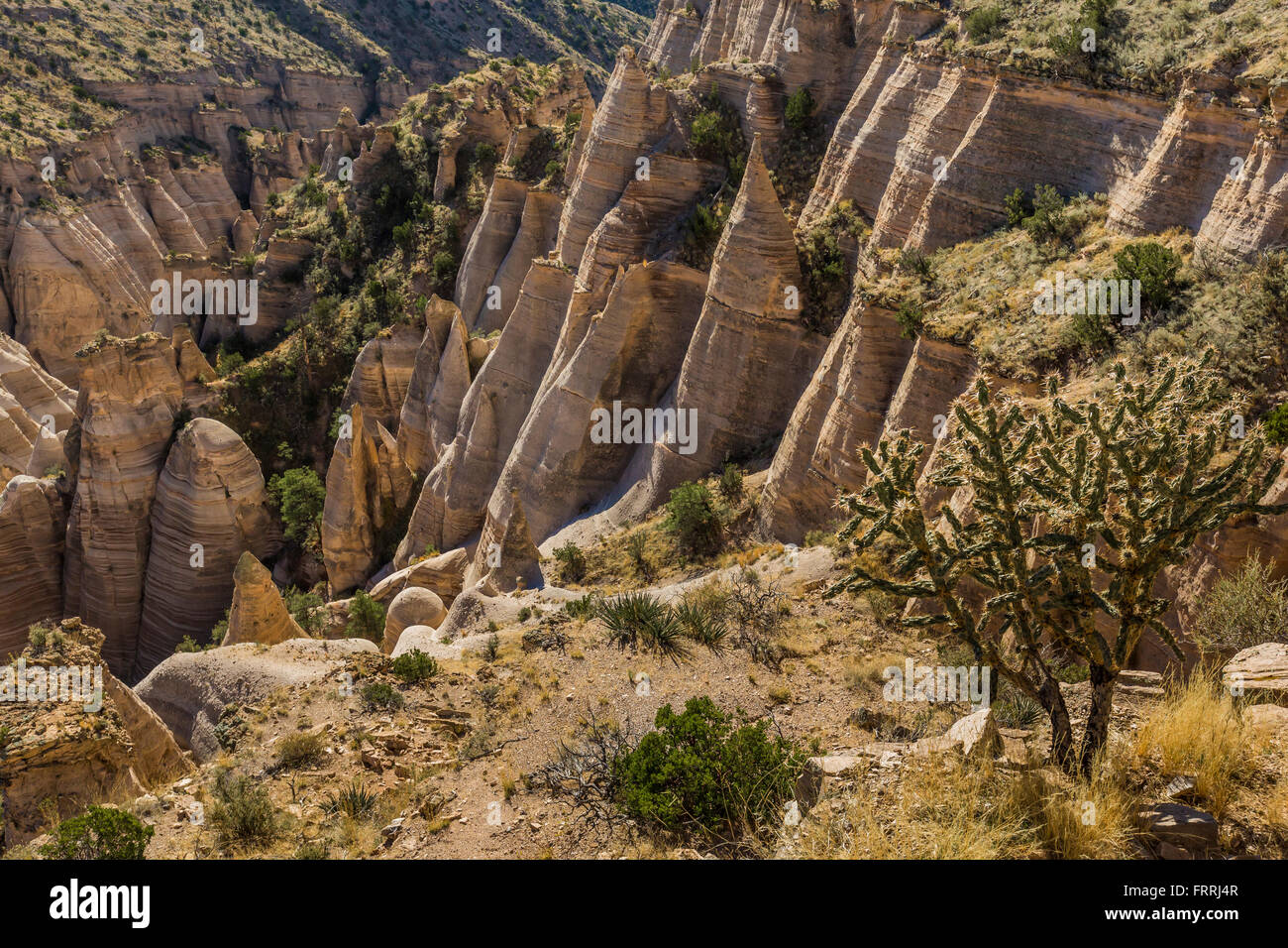 Scogliere e hoodoos visto da punti alti lungo la fessura Canyon Trail, Kasha-Katuwe tenda Rocks National Monument, Nuovo Messico, STATI UNITI D'AMERICA Foto Stock