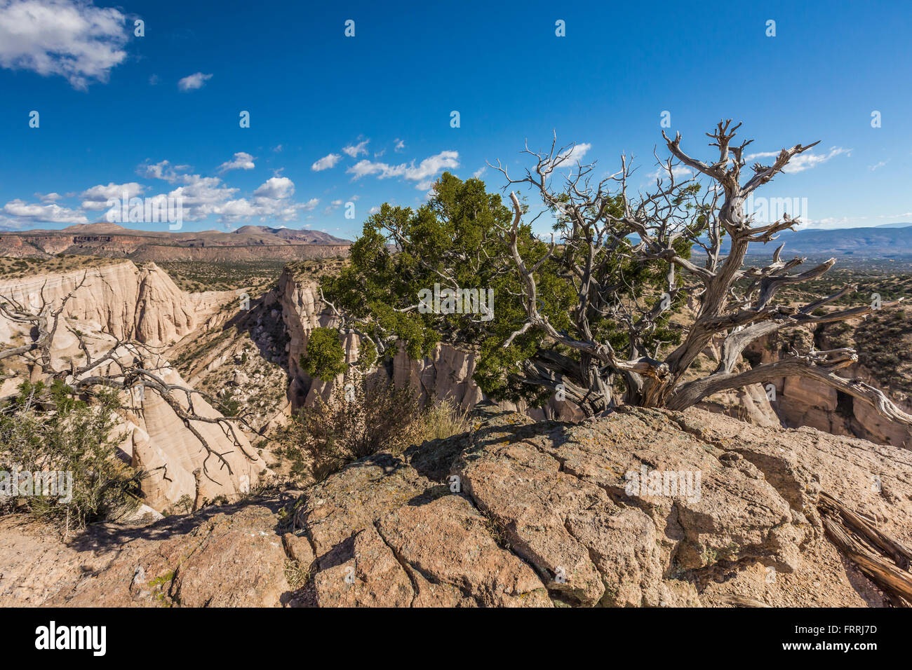 Scogliere e hoodoos visto da punti alti lungo la fessura Canyon Trail, Kasha-Katuwe tenda Rocks National Monument, Nuovo Messico, STATI UNITI D'AMERICA Foto Stock