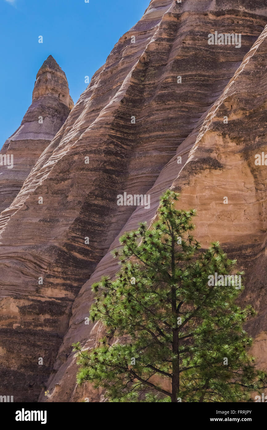 Lungo la fessura Canyon Trail a tenda Kasha-Katuwe rocce monumento nazionale nel Nuovo Messico, STATI UNITI D'AMERICA Foto Stock