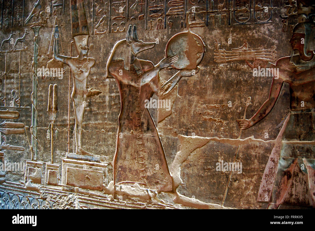 Una parete carving geroglifica di Anubis, nella Valle dei Re, Luxor, Egitto Foto Stock