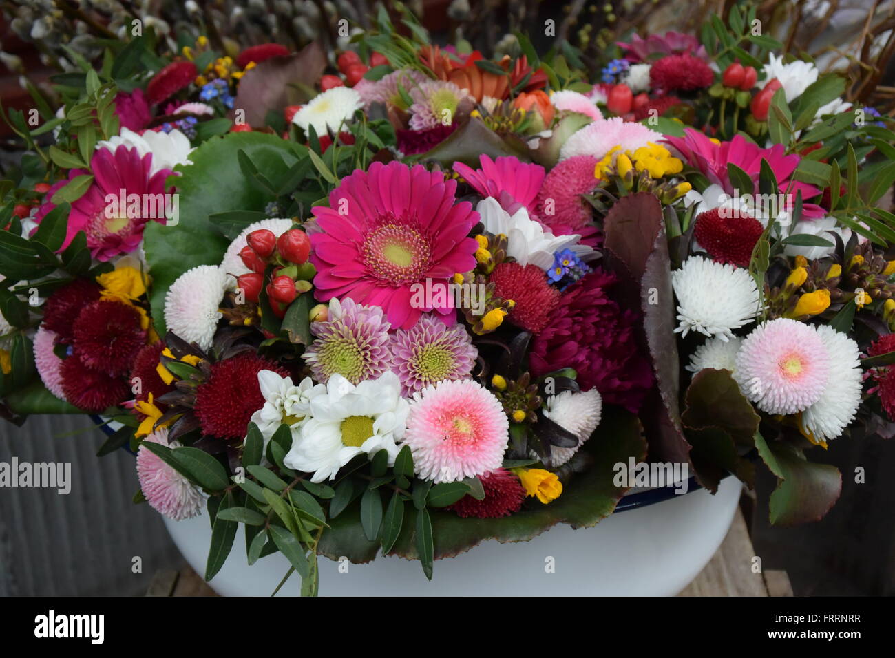 fiori di primavera Foto Stock