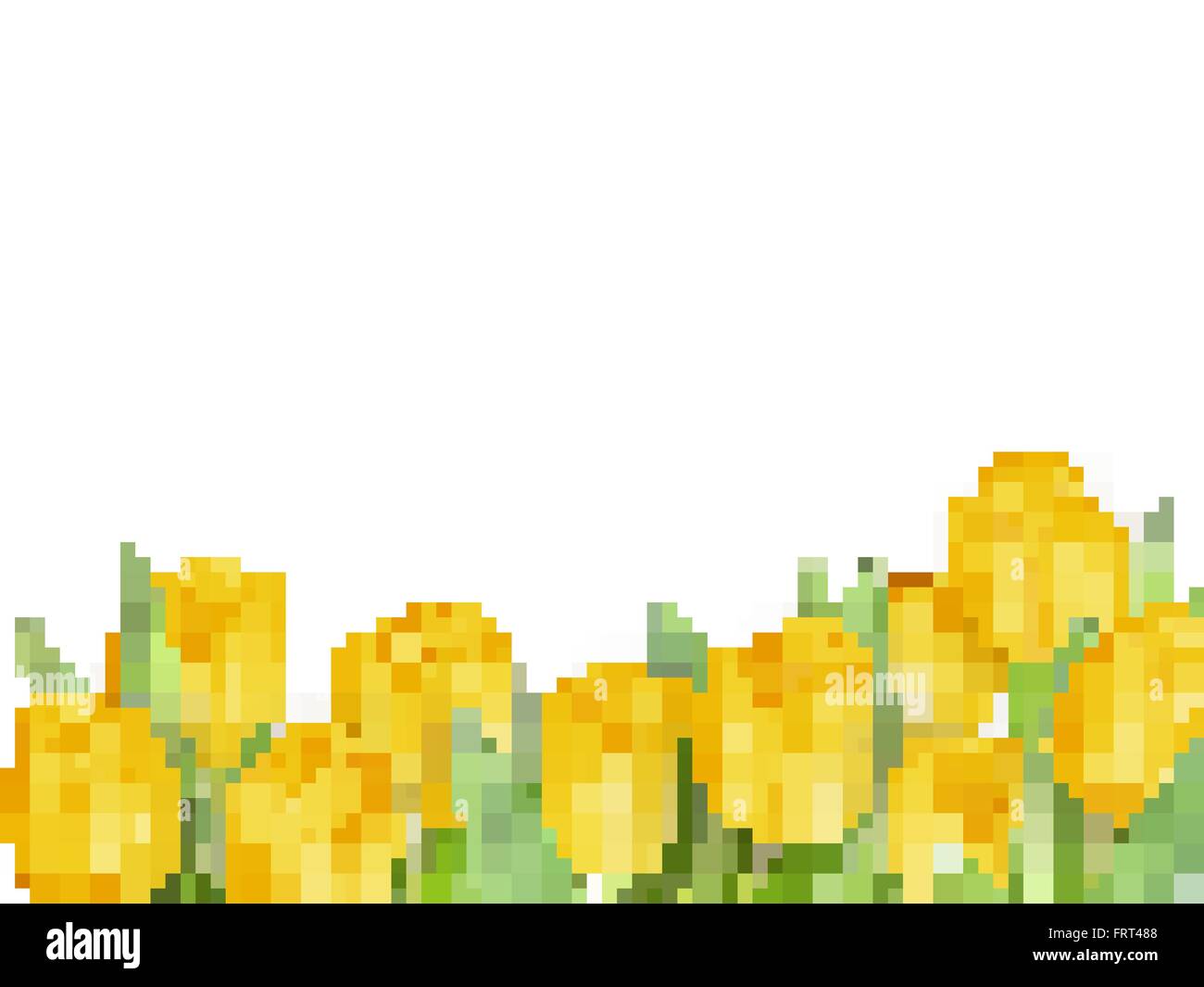 Tulip fiori come una cartolina di vacanza. EPS 10 Illustrazione Vettoriale