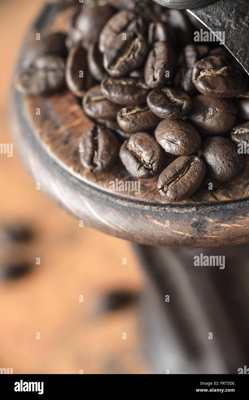 I chicchi di caffè nel coffee mill close-up Foto Stock