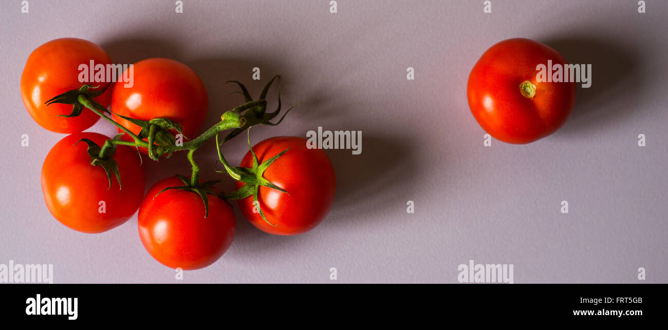 Pomodori ramoscello sullo sfondo bianco wide screen Foto Stock