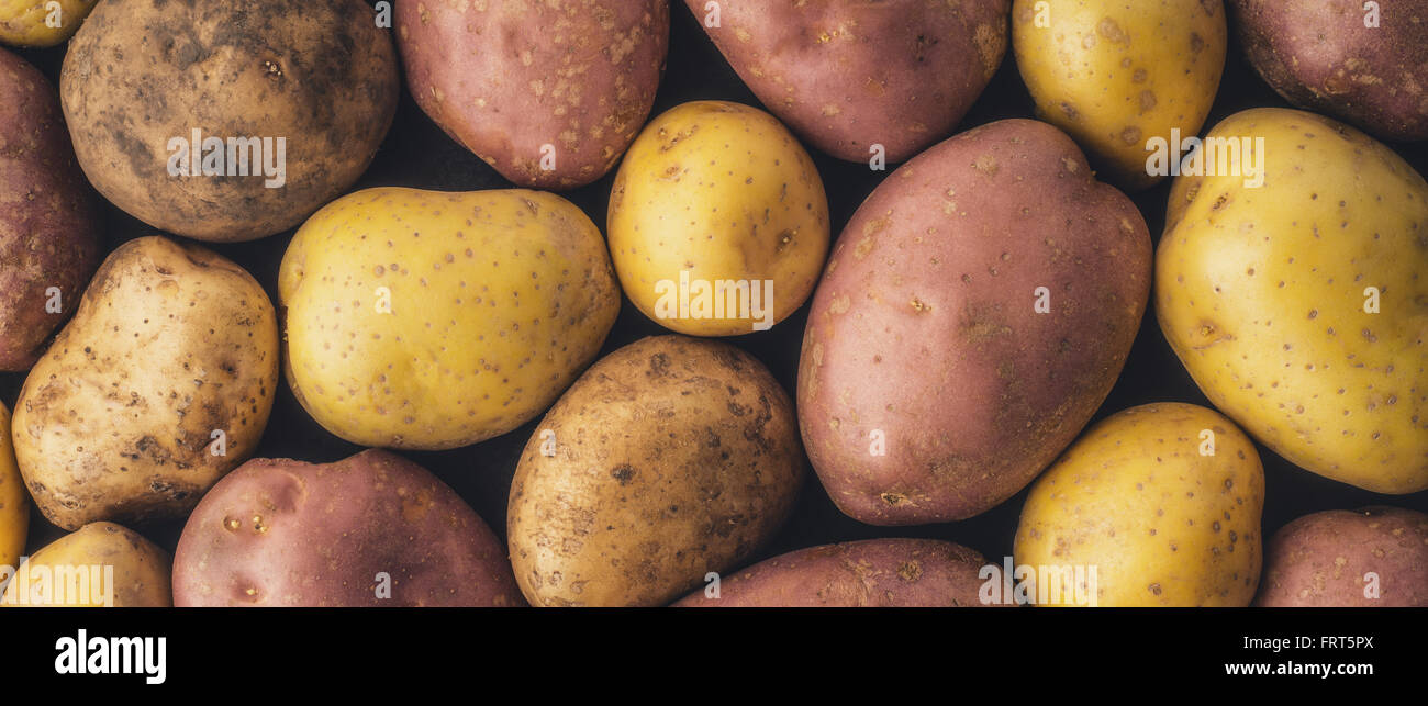 Materie di patate sfondo schermo largo Foto Stock