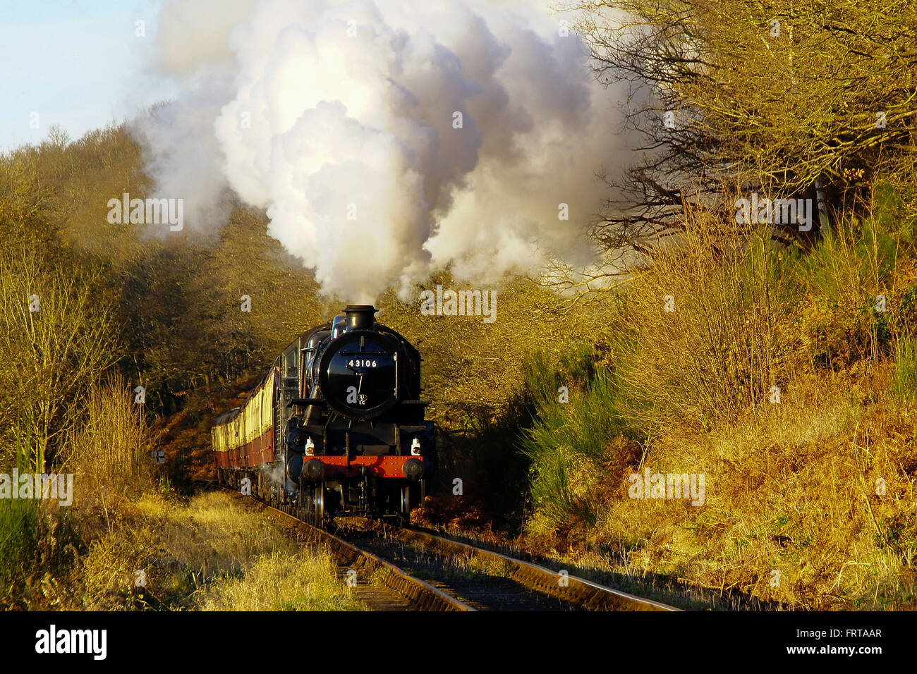 LMS Ivatt Classe 4, 'Flying Pig' in direzione sud sul Severn Valley Railway Foto Stock