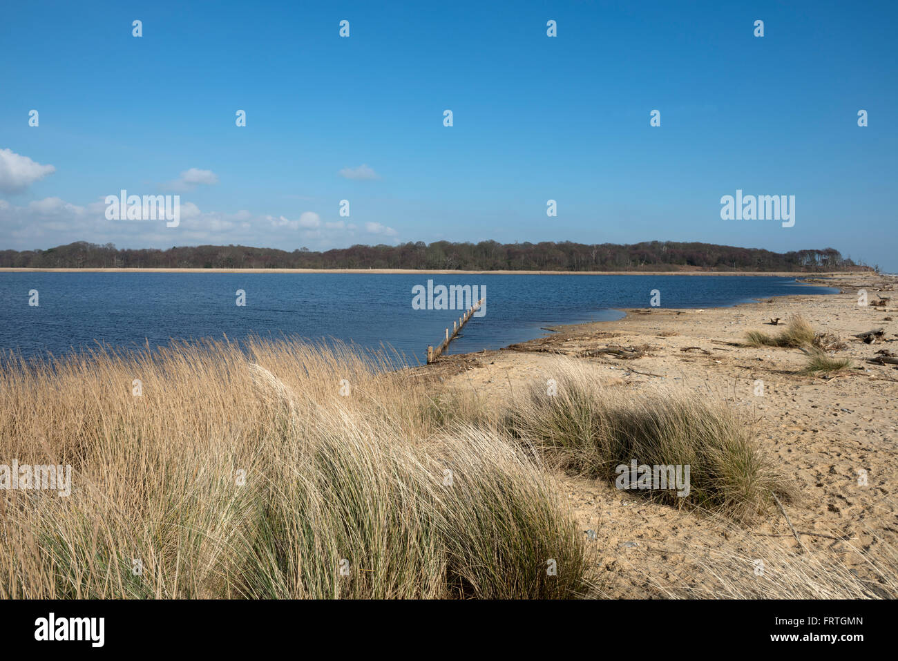 Benacre riserva naturale Suffolk in Inghilterra Foto Stock