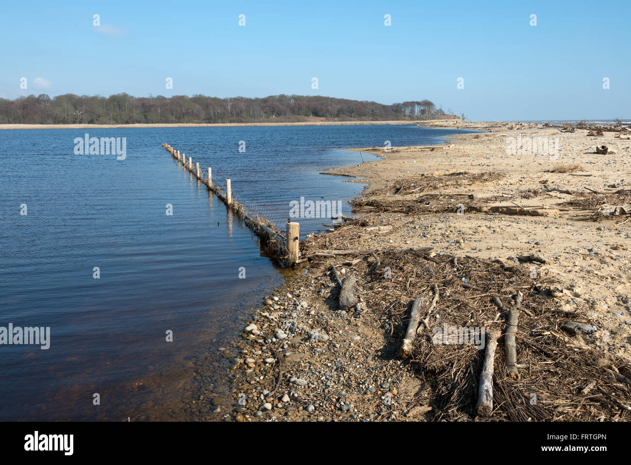Benacre riserva naturale Suffolk in Inghilterra Foto Stock