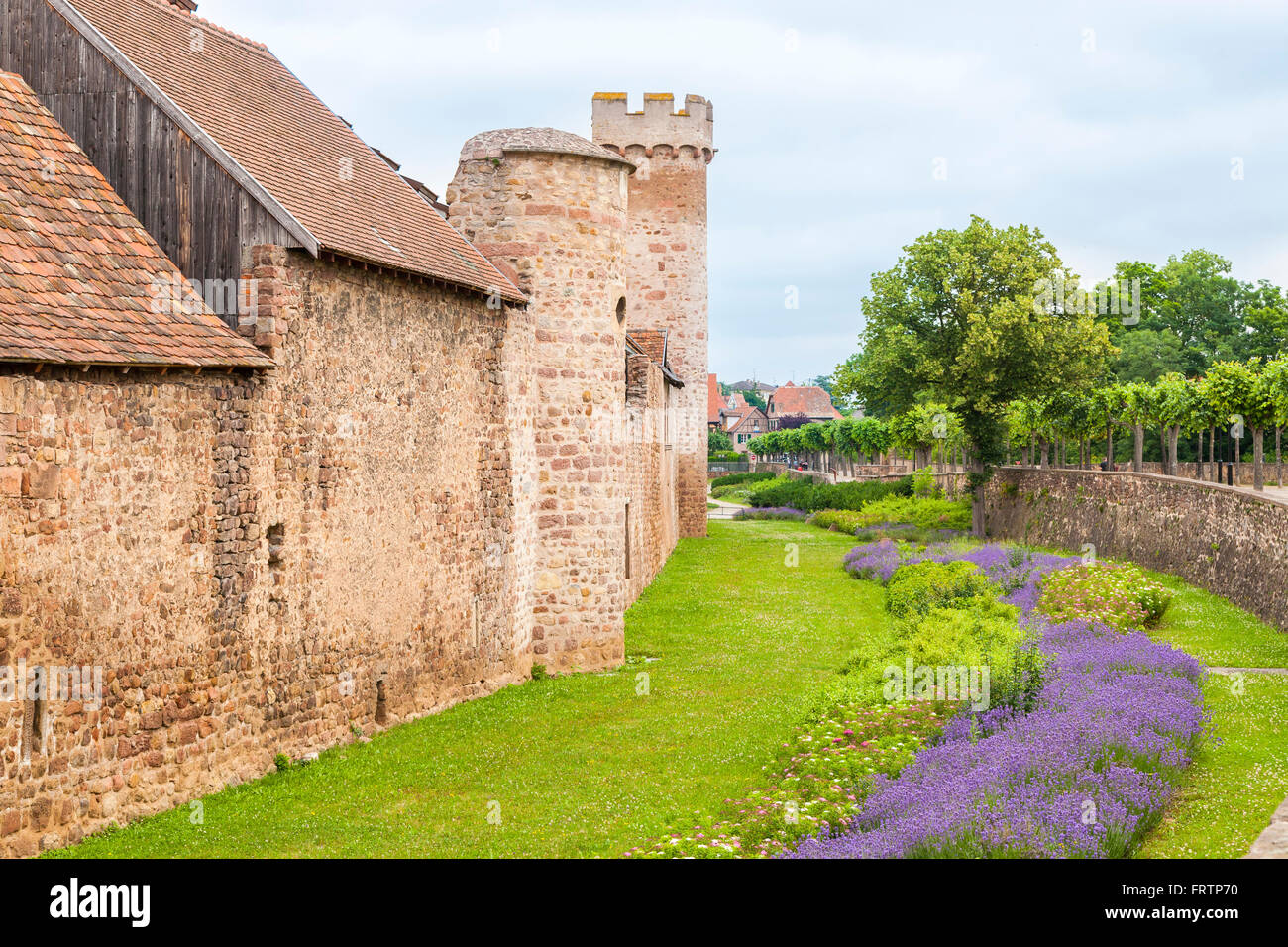 La muraglia difensiva, Obernai, Bas Rhin, Alsace Francia Foto Stock