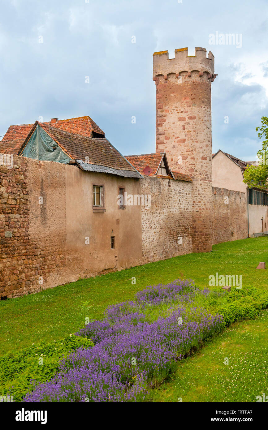 La muraglia difensiva, Obernai, Bas Rhin, Alsace Francia Foto Stock