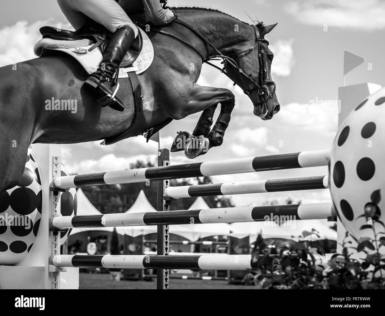 Sport Equestri, Horse jumping, Show Jumping, Equitazione foto a tema Foto Stock