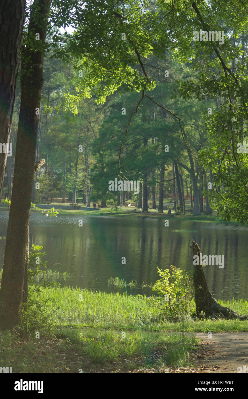 Lago in un parco Foto Stock