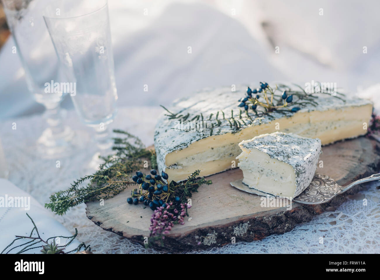 Fette di formaggio a pasta morbida su un albero pit Foto Stock