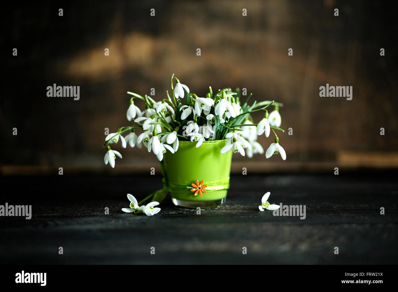 Vetro con snowdrops nella parte anteriore del legno scuro Foto Stock