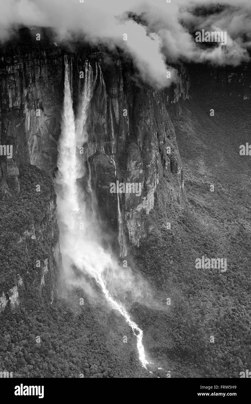 Venezuela, Bolivar, Canaima, il Parco Nazionale di Canaima, Angel Falls, Salto Angel Foto Stock