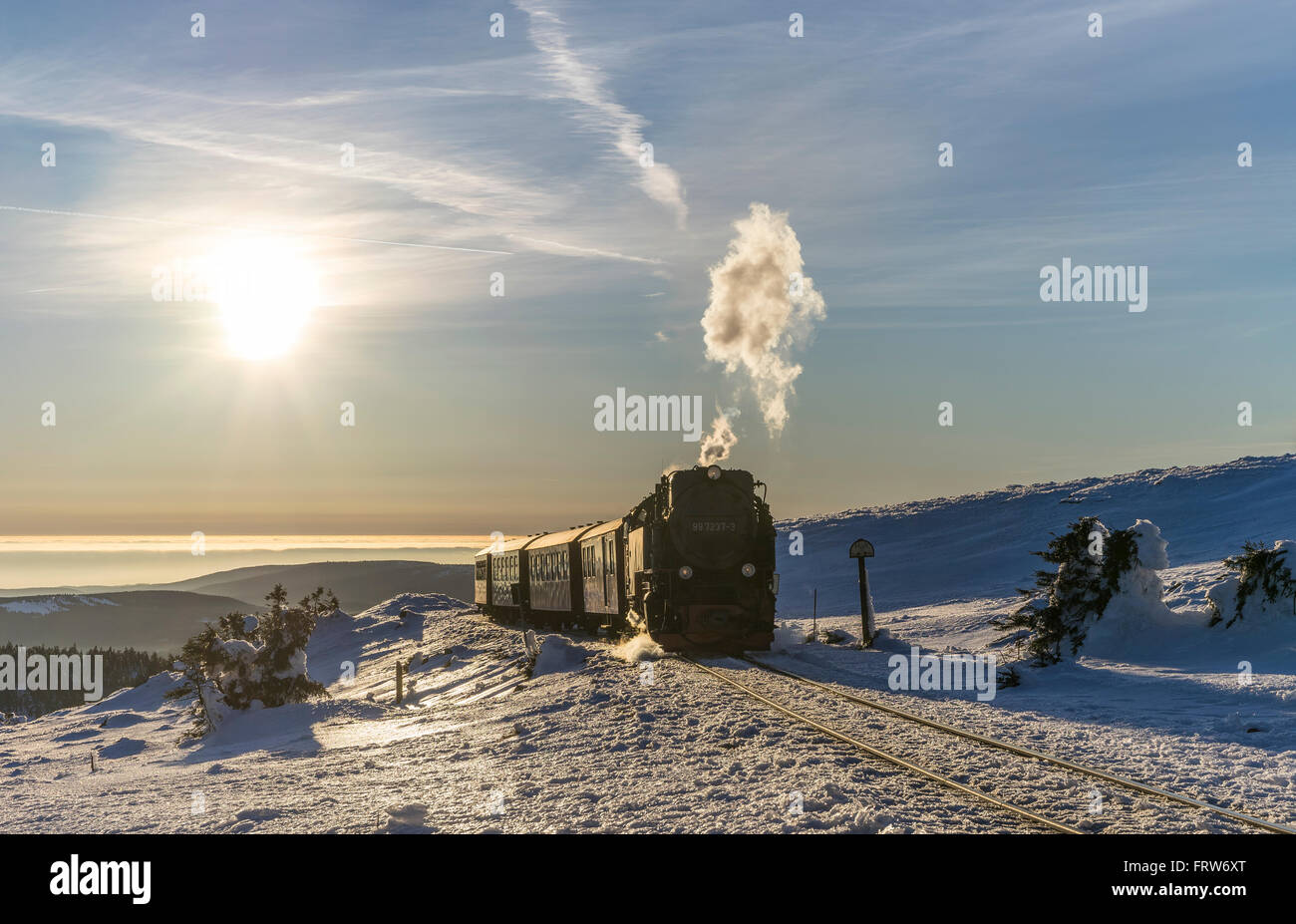 Germania, Sassonia-Anhalt, Parco Nazionale di Harz e Brocken, Harz ferrovia a scartamento ridotto in inverno Foto Stock