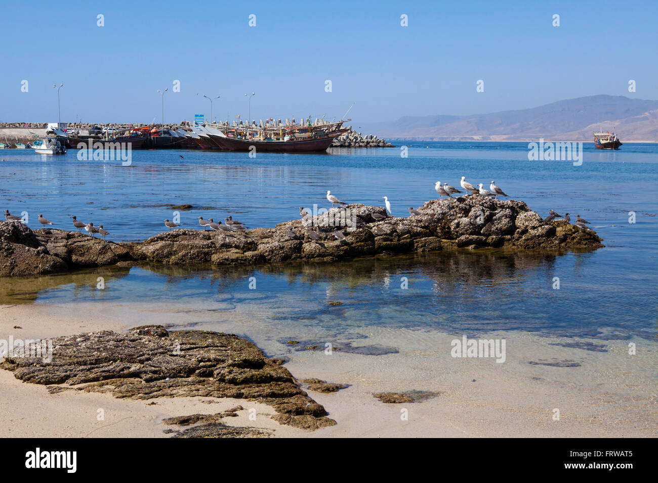 Barche da pesca in Mirbat, regione di Dhofar, Oman. Foto Stock