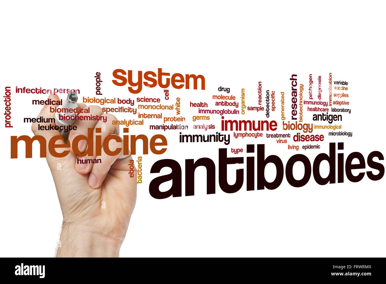 Gli anticorpi di parola il concetto di cloud Foto Stock
