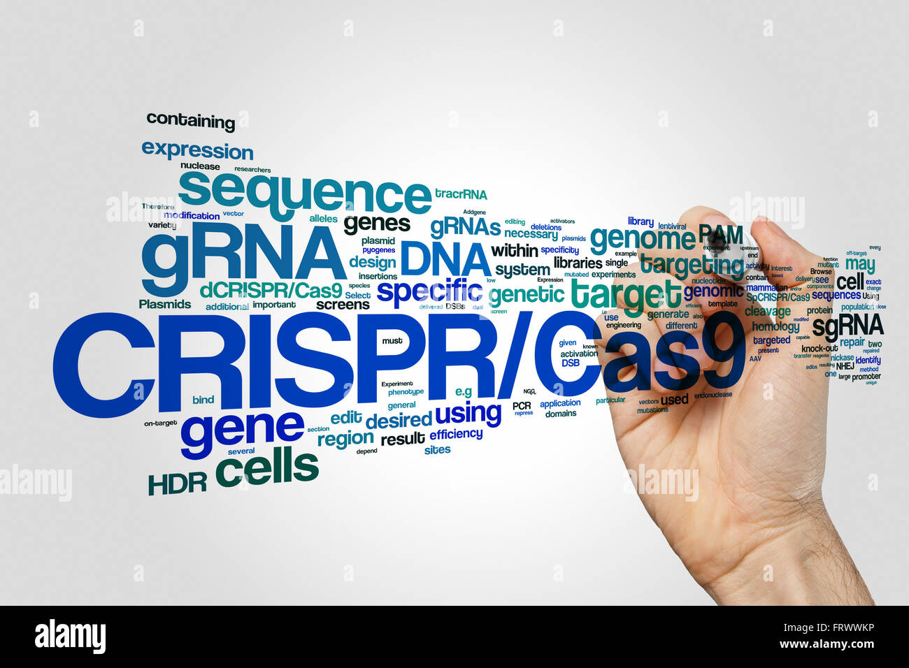CRISPR/CAS9 sistema di editing, di regolazione e di genomi di bersagliamento (la biotecnologia e l'ingegneria genetica) word cloud Foto Stock