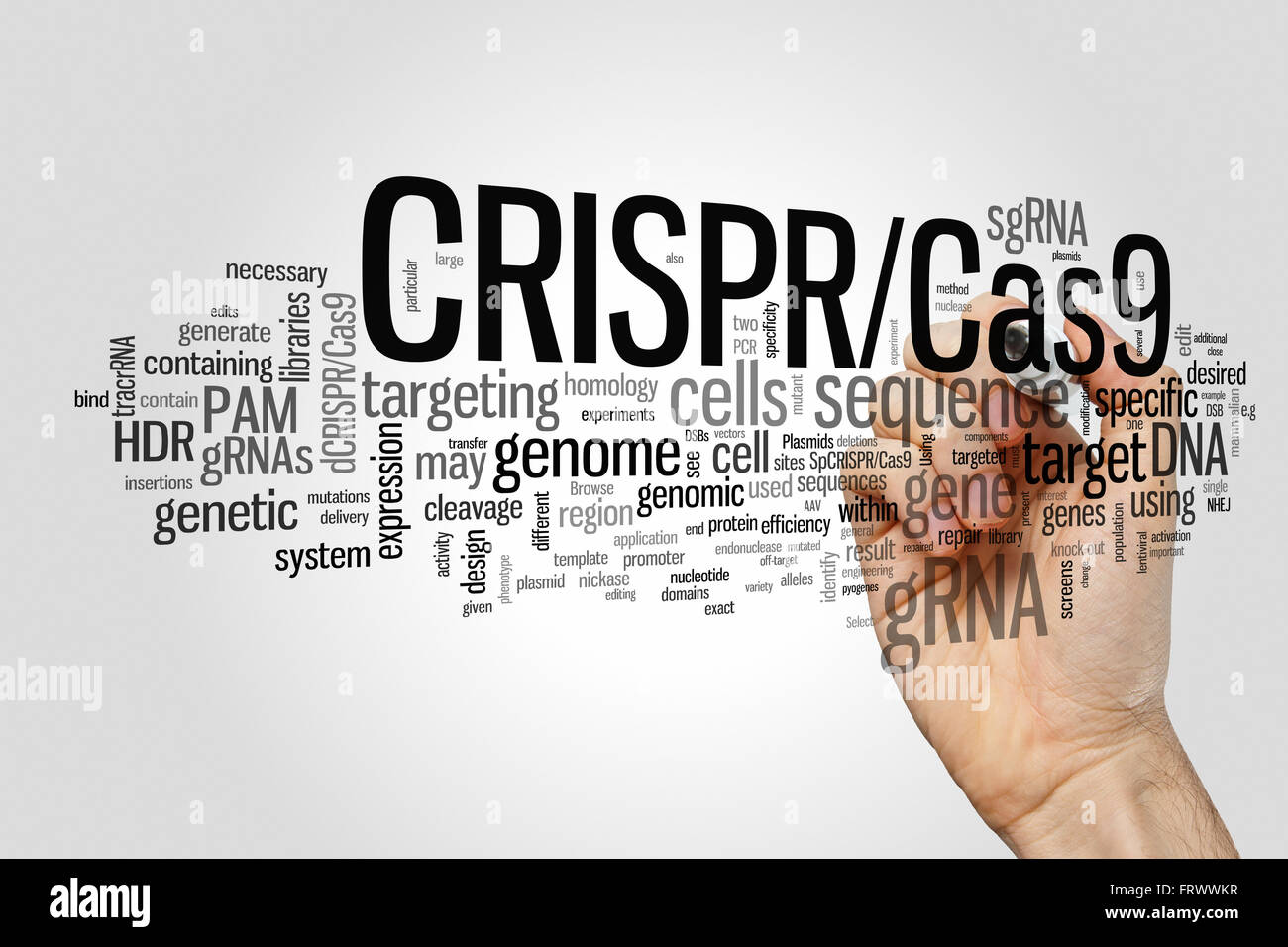 CRISPR/CAS9 sistema di editing, di regolazione e di genomi di bersagliamento (la biotecnologia e l'ingegneria genetica) word cloud Foto Stock