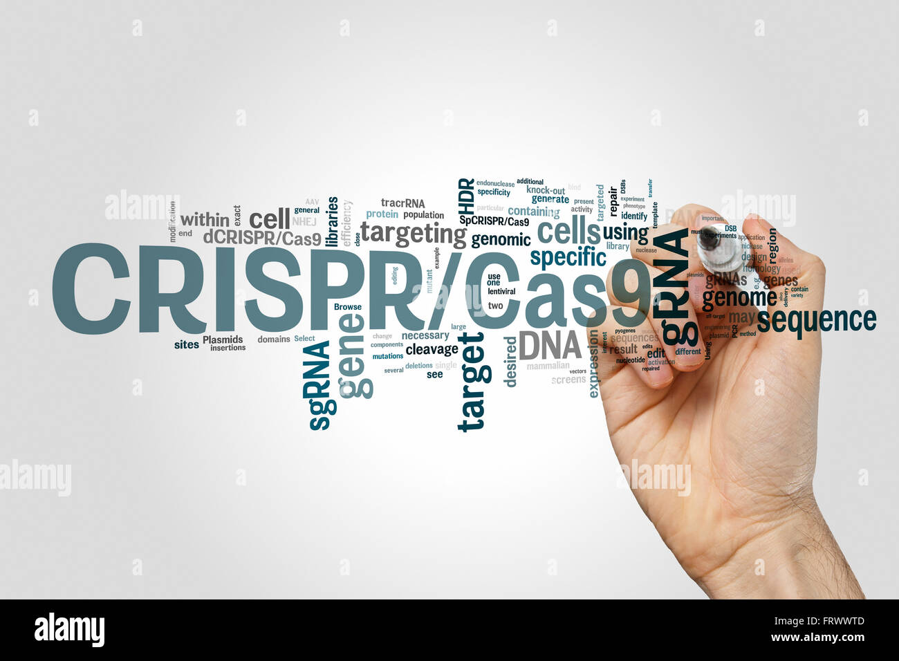 CRISPR/CAS9 sistema di editing, di regolazione e di genomi di bersagliamento (la biotecnologia e l'ingegneria genetica) word cloud Foto Stock