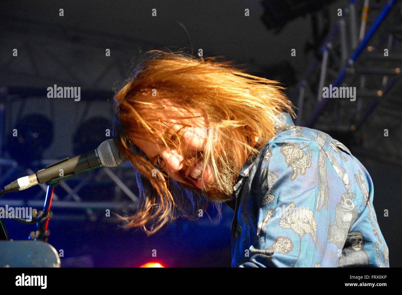 Fixi parte di Winston e Fixi, Womad 2015, Charlton Park, Wiltshire, Inghilterra. Foto Stock