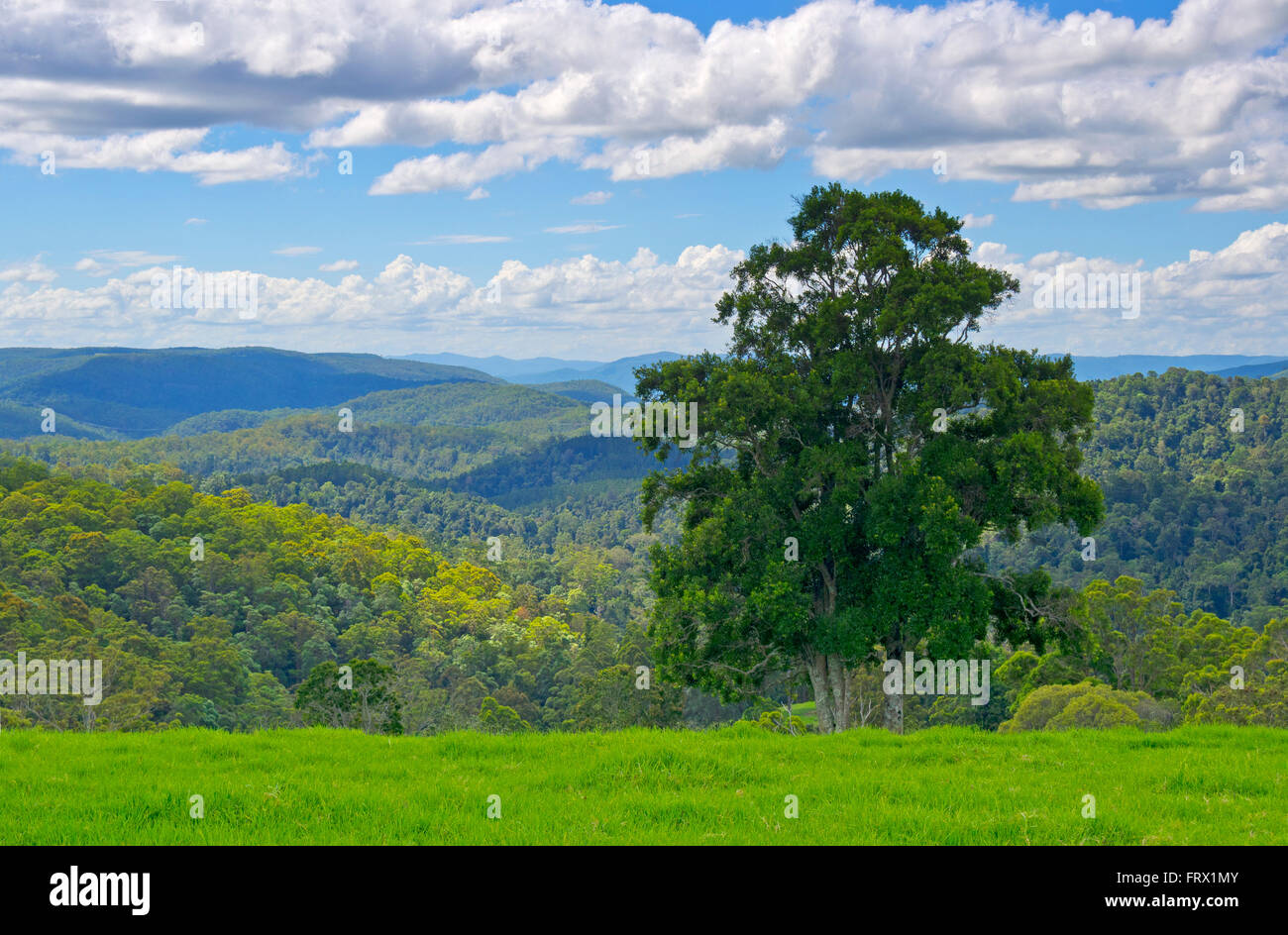 Vista guardando a sud dal monte Nebo australia Foto Stock