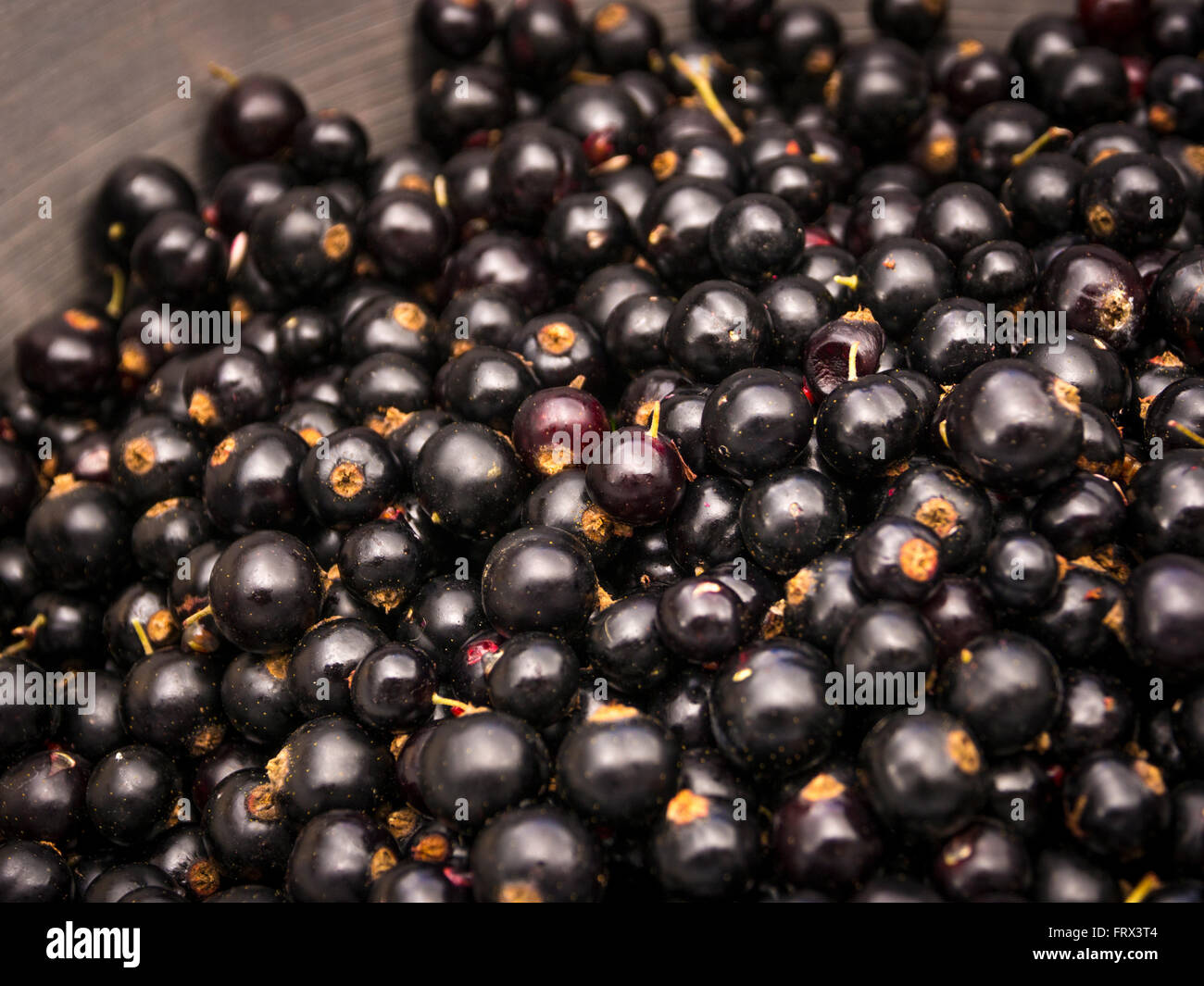 Ribes nero - chiudere fino in padella Foto Stock