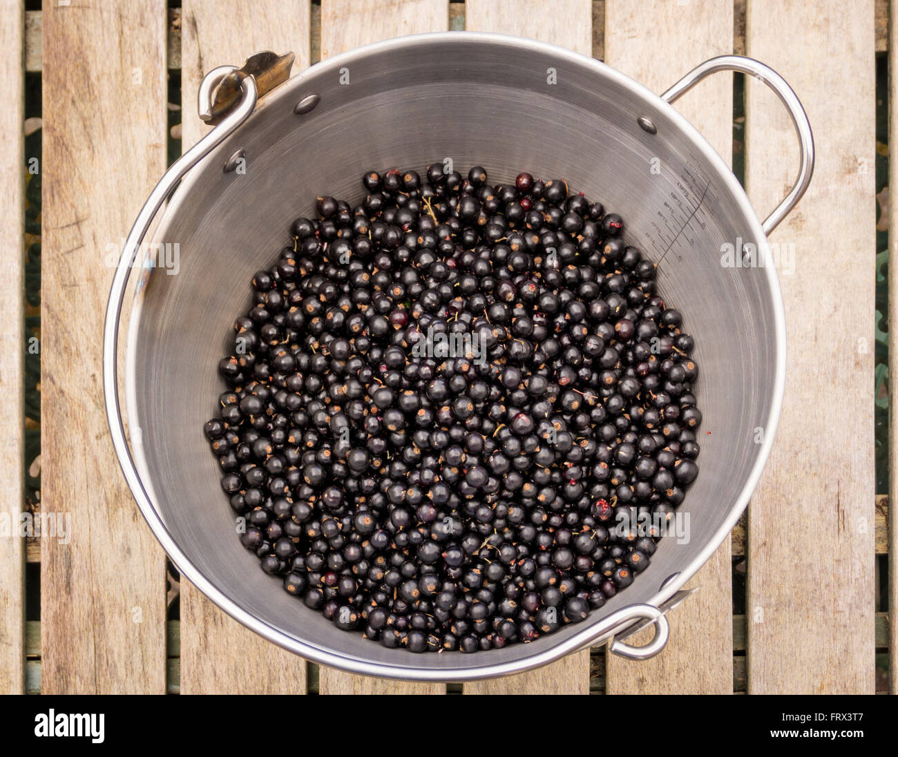 La realizzazione di marmellate a casa - Ribes nero in una grande padella Maslin sul tavolo di legno Foto Stock