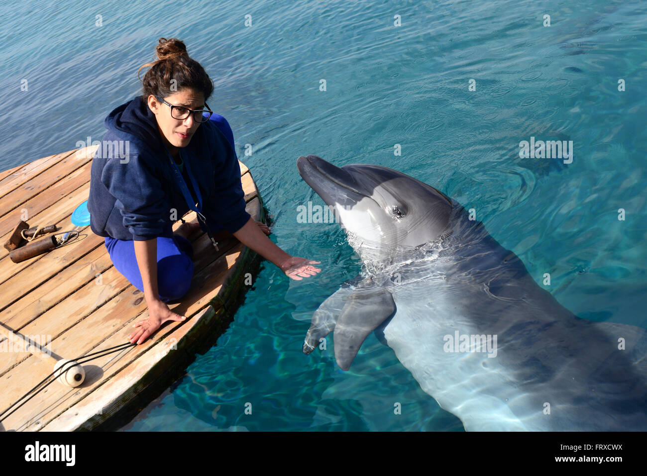 Dolphin Reef vicino a Eilat a Mare Rosso, Akaba bay, South-Israel, Israele Foto Stock
