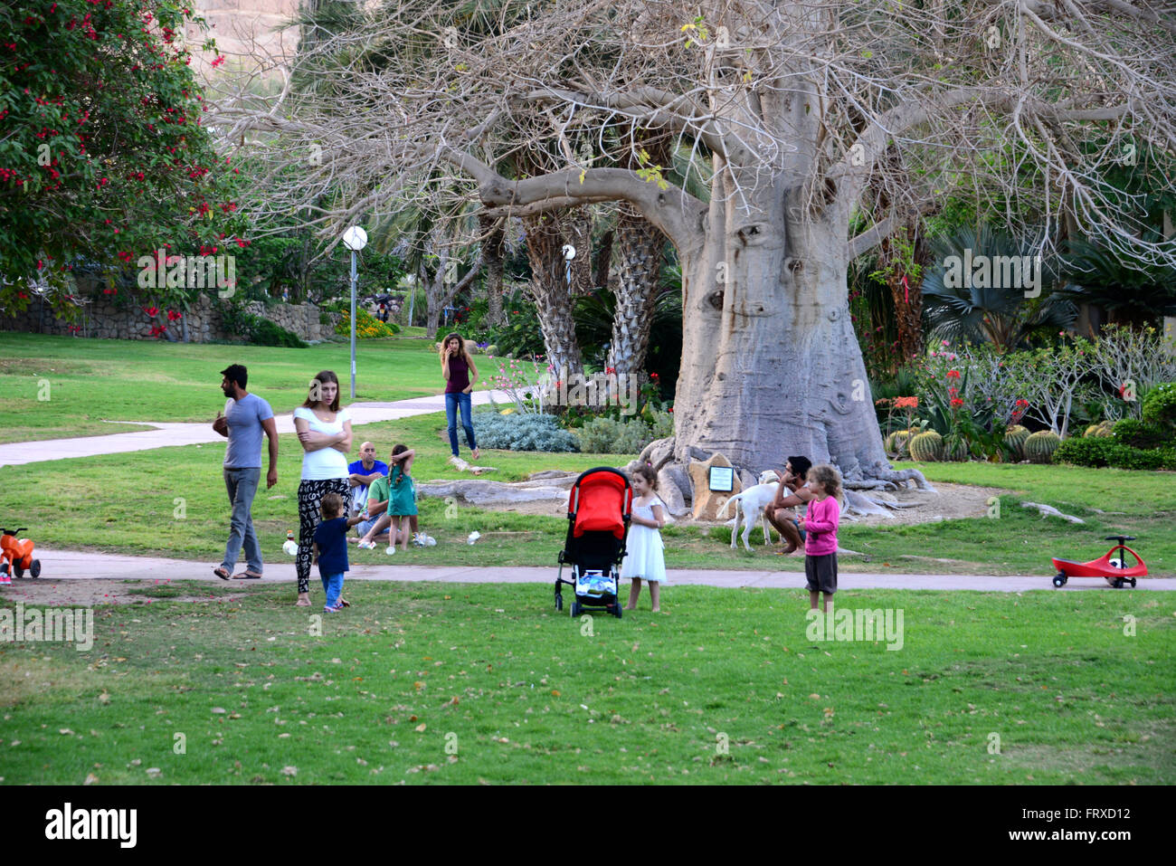In Kibbutz Ein Gedi presso il mar morto, Israele Foto Stock