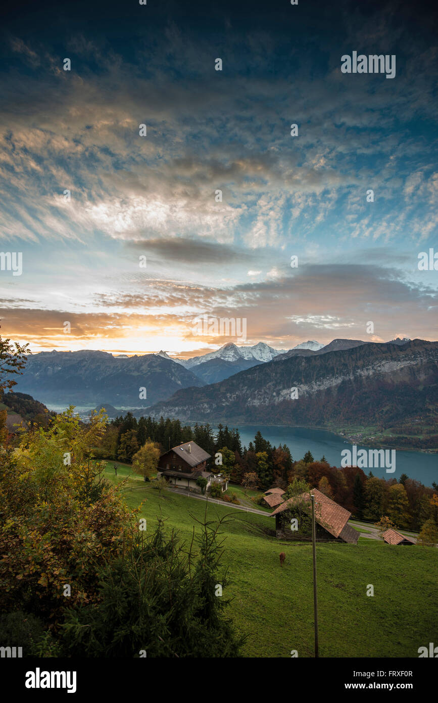 Vista sul lago di Thun di sunrise al di sopra di Eiger, Moench e Jungfrau, Beatenberg, Oberland bernese, il Cantone di Berna, Svizzera Foto Stock