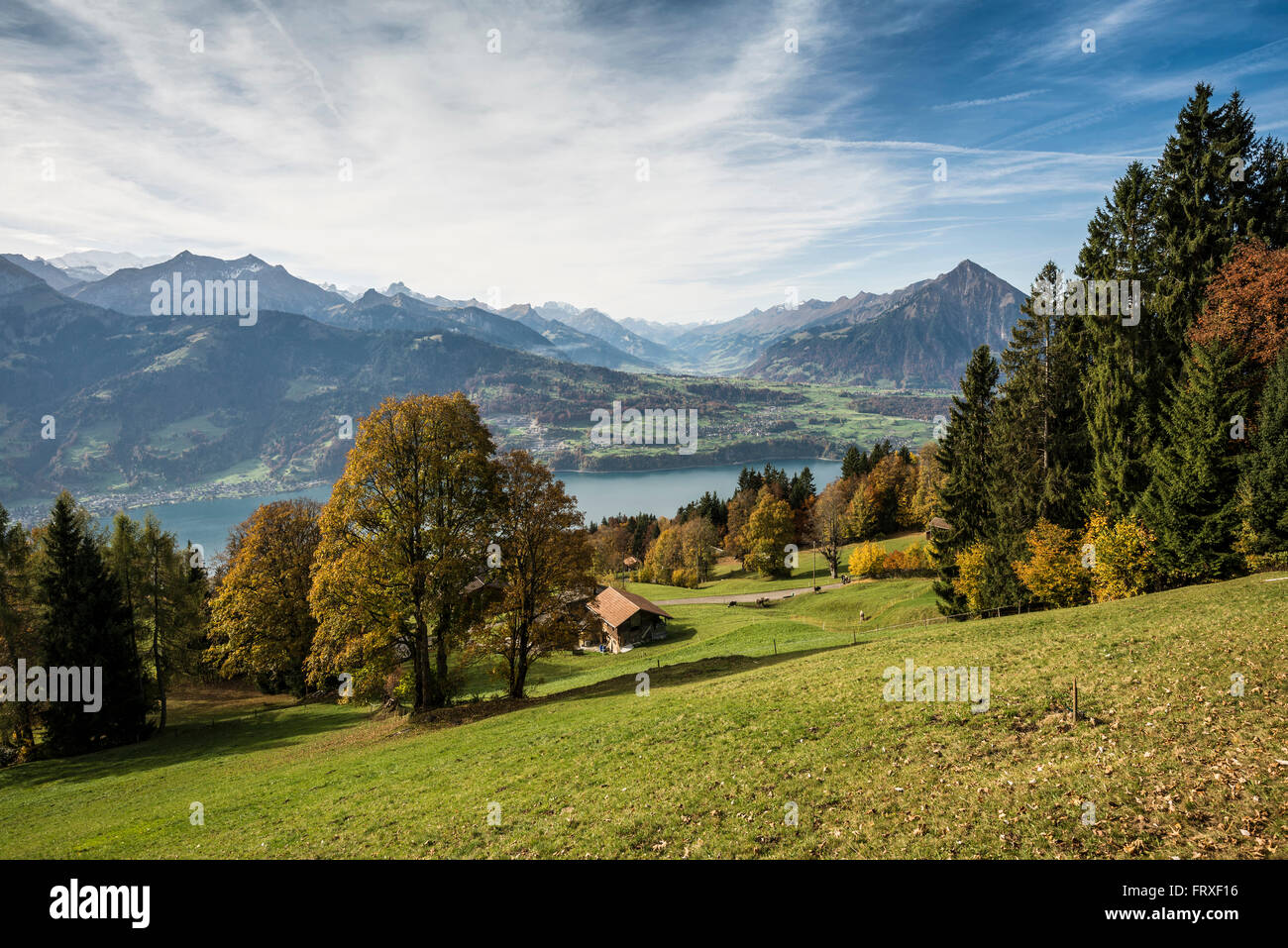 Vista del lago di Thun e il Lago di Kandertal, Beatenberg, Oberland bernese, il Cantone di Berna, Svizzera Foto Stock