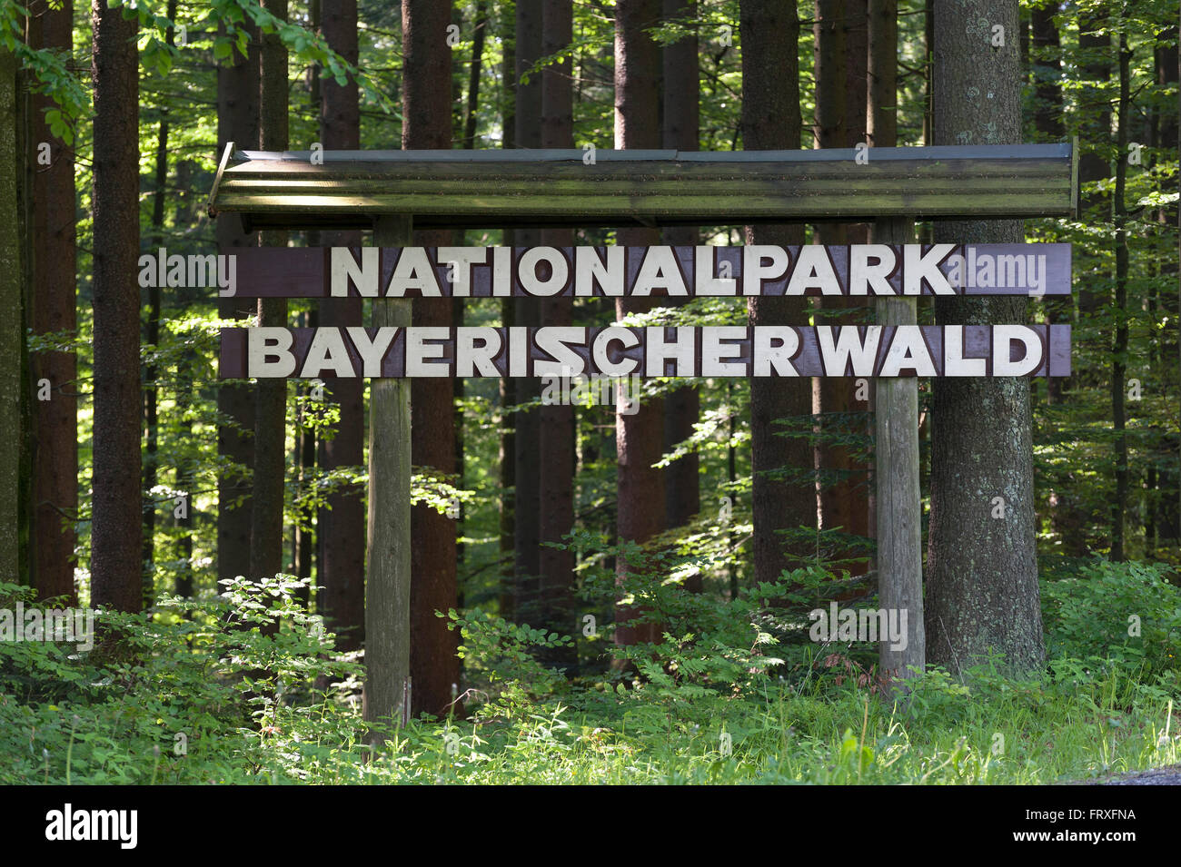 Parco nazionale di firmare per la Foresta Bavarese, Parco Nazionale della Foresta Bavarese, Baviera, Germania Foto Stock