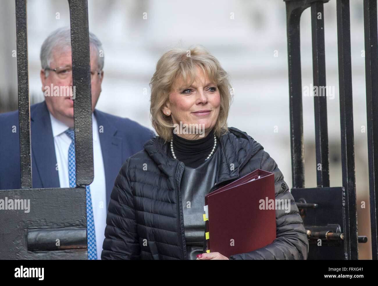 Anna Soubry,il Ministro per le piccole aziende,industria e Enterprise,al numero 10 di Downing Street per una riunione del gabinetto Foto Stock