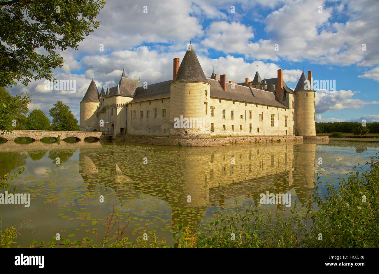 Chateau du Plessis-Bourre vicino Cheffes-sur-Sarthe, Castello, Dept. Maine-et-Loire, regione Pays de la Loire, in Francia, in Europa Foto Stock
