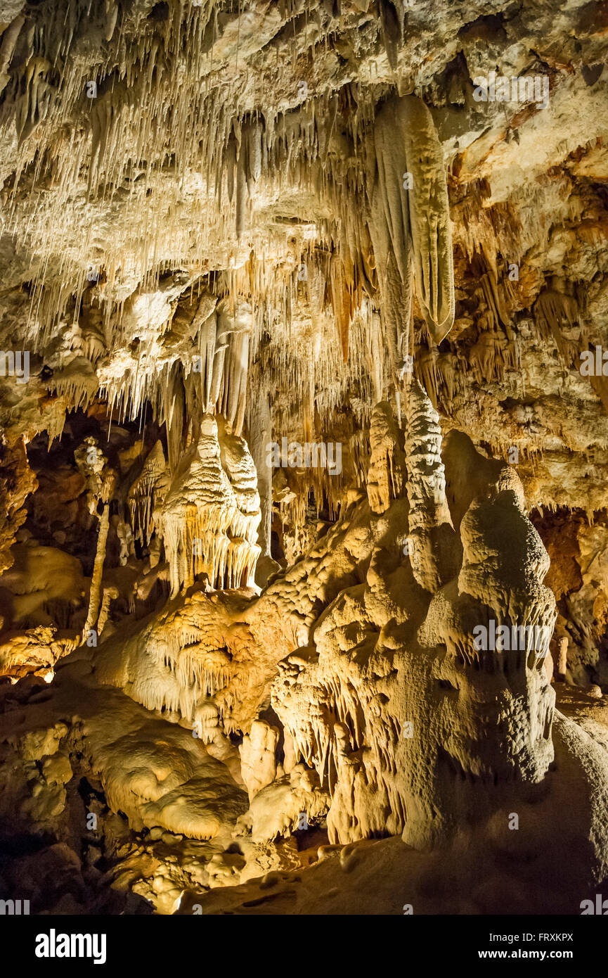 Dripstone grotta, Borgio Verezzi Provincia di Savona, Liguria, Italia Foto Stock
