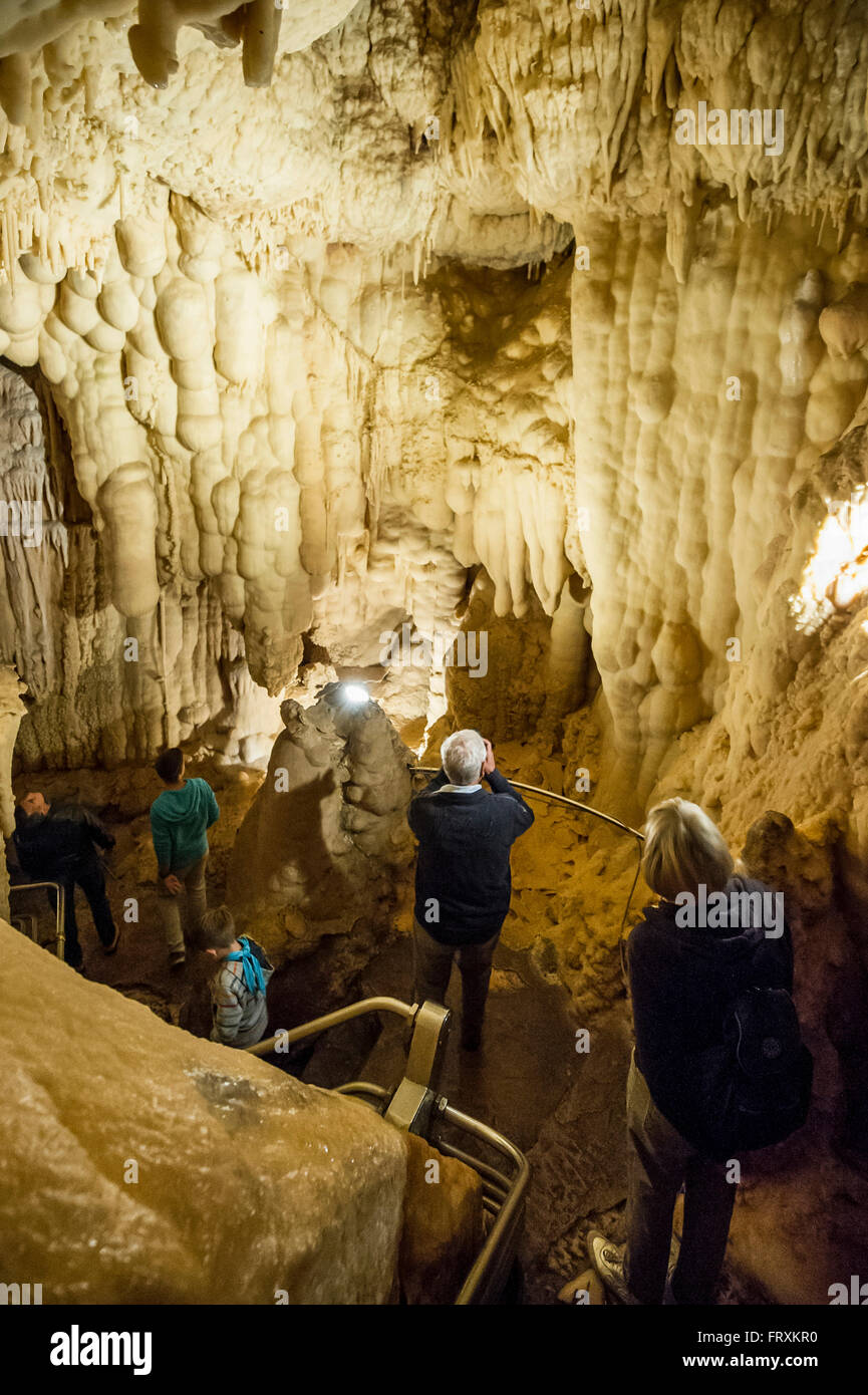Grotte di Toirano Toirano, Provincia di Savona Liguria, Italia Foto Stock